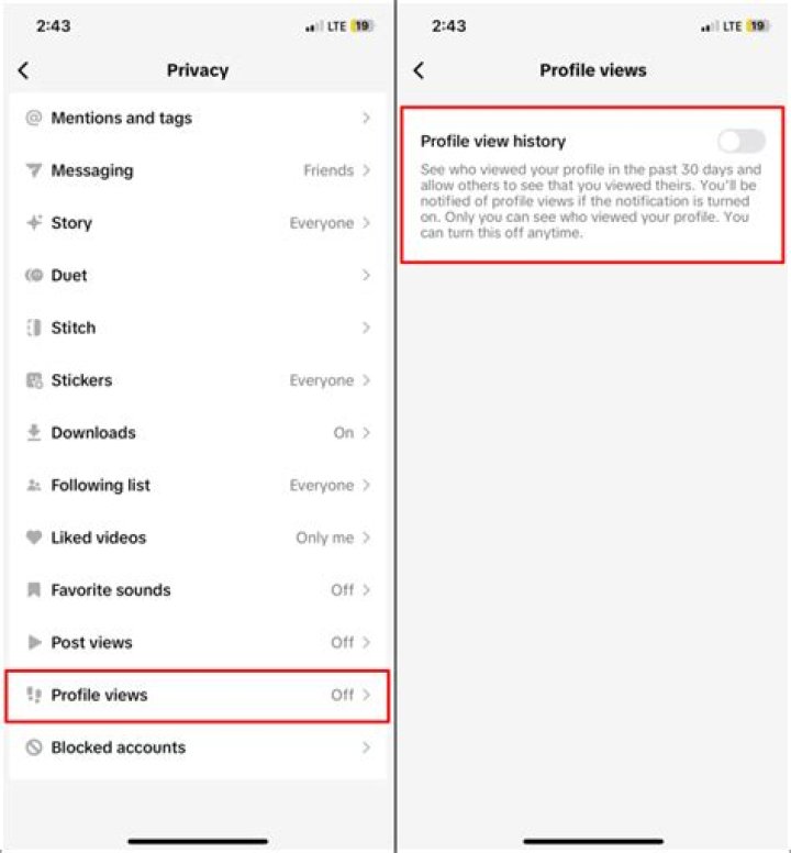 Unveiling The Mystery: See Who Views Your TikTok