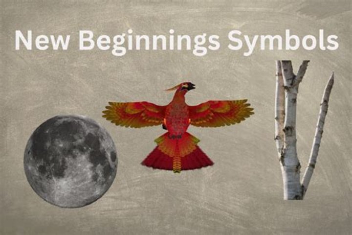 When Gates Swing Open: A Journey Of New Beginnings